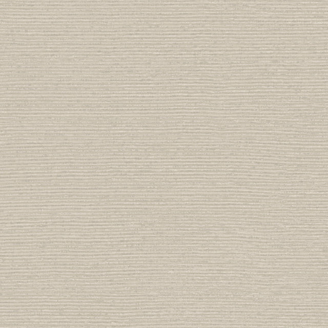 Winfield Thybony RADIUS PUTTY Wallpaper