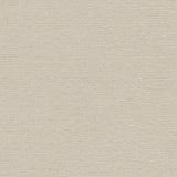 Winfield Thybony RADIUS PUTTY Wallpaper
