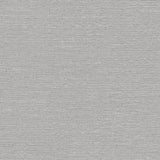 Winfield Thybony RADIUS BIRCH Wallpaper