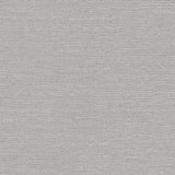 Winfield Thybony RADIUS BIRCH Wallpaper
