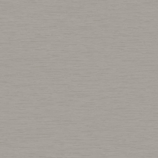 Winfield Thybony DRAKE BARK Wallpaper