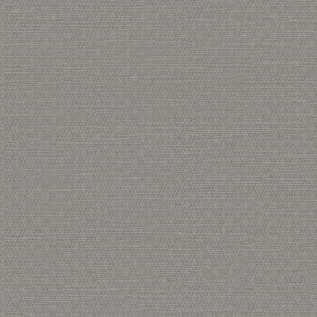 Winfield Thybony ARCHETYPE TARNISH Wallpaper