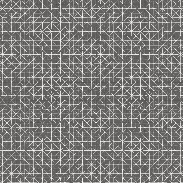 Winfield Thybony MARITIME CROW Wallpaper