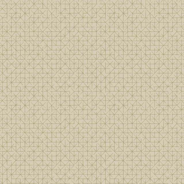 Winfield Thybony MARITIME GULL Wallpaper