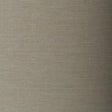 Winfield Thybony SANTO SHELL Wallpaper