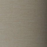 Winfield Thybony SANTO SHELL Wallpaper