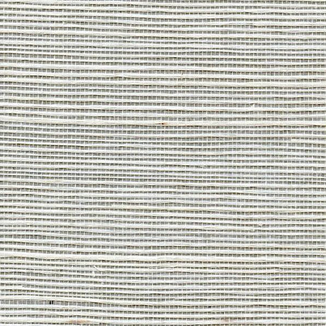 Winfield Thybony SIMPLY SISAL GREIGE Wallpaper