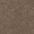 Winfield Thybony ENDURING BRONCO Wallpaper