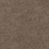 Winfield Thybony ENDURING BRONCO Wallpaper