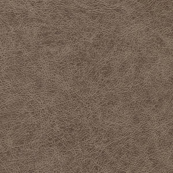 Winfield Thybony ENDURING BRONCO Wallpaper