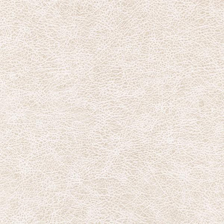 Winfield Thybony ENDURING DESERT Wallpaper