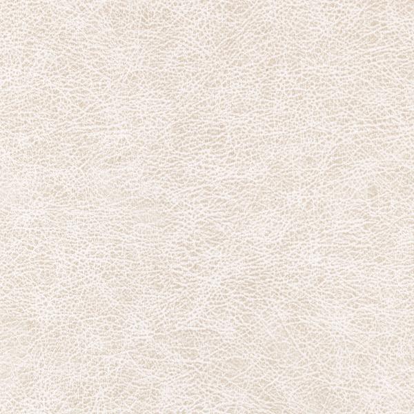 Winfield Thybony ENDURING DESERT Wallpaper