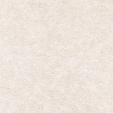 Winfield Thybony ENDURING DESERT Wallpaper