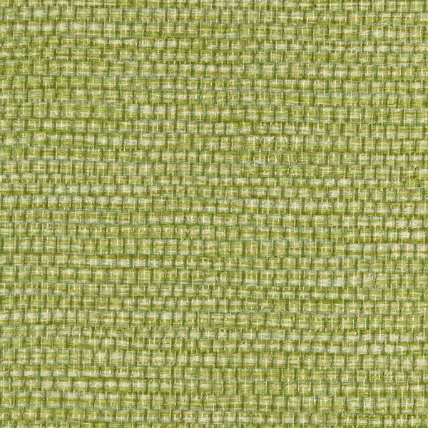 Winfield Thybony PANAMA ENVY Wallpaper