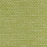 Winfield Thybony PANAMA ENVY Wallpaper