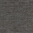 Winfield Thybony PANAMA NIGHTWATCH Wallpaper