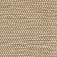Winfield Thybony PANAMA GOLDILOCKS Wallpaper