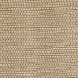 Winfield Thybony PANAMA GOLDILOCKS Wallpaper