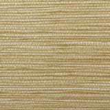 Winfield Thybony KRAUSS MADRAS Wallpaper