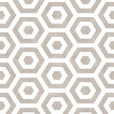 Winfield Thybony POP DUNE Wallpaper