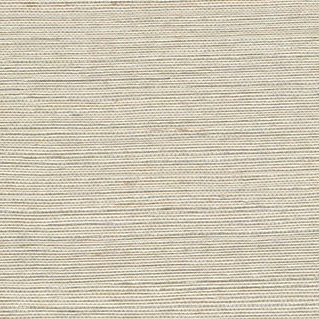 Winfield Thybony METALLIC SISAL PARCHMENT Wallpaper