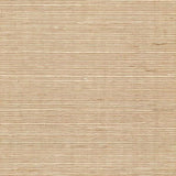 Winfield Thybony SISAL LATTE Wallpaper
