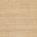 Winfield Thybony SISAL CAFE OLE Wallpaper
