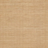 Winfield Thybony SISAL MOCHA Wallpaper