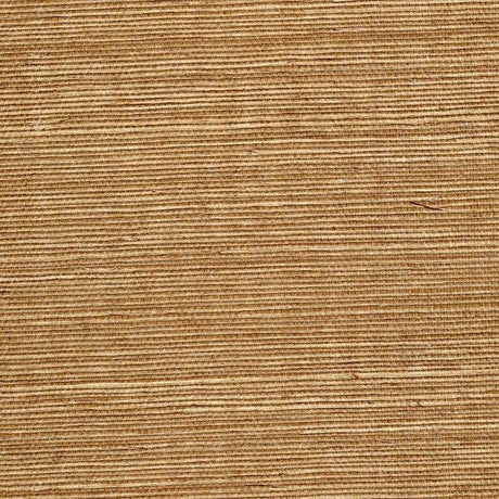 Winfield Thybony SISAL HAZELNUT Wallpaper