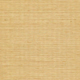 Winfield Thybony SISAL MUSTARD Wallpaper