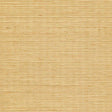 Winfield Thybony SISAL MUSTARD Wallpaper