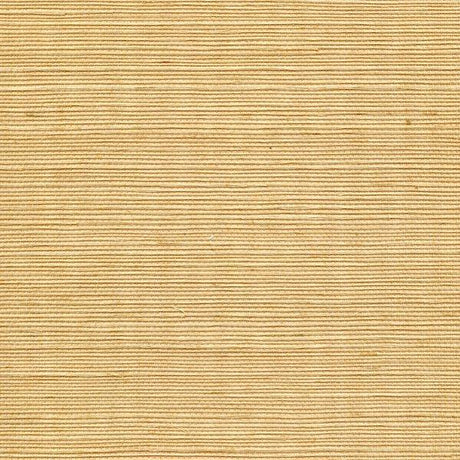 Winfield Thybony SISAL MUSTARD Wallpaper