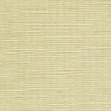 Winfield Thybony SISAL LIMEAID Wallpaper