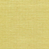 Winfield Thybony SISAL LEMON ZEST Wallpaper