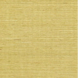 Winfield Thybony SISAL CITRINE Wallpaper