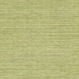 Winfield Thybony SISAL PEA POD Wallpaper