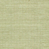 Winfield Thybony SISAL FERN Wallpaper