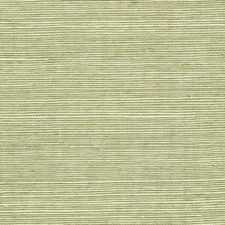Winfield Thybony SISAL FERN Wallpaper