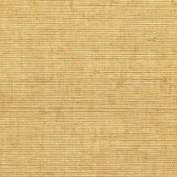 Winfield Thybony SISAL BRUSH Wallpaper