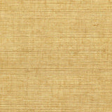 Winfield Thybony SISAL BRUSH Wallpaper