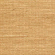Winfield Thybony SISAL BUTTERSCOTCH Wallpaper