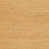 Winfield Thybony SISAL BUTTERSCOTCH Wallpaper