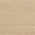 Winfield Thybony SISAL MOSS Wallpaper