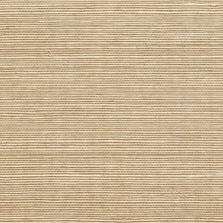 Winfield Thybony SISAL MOSS Wallpaper