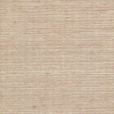 Winfield Thybony SISAL HAZEL Wallpaper
