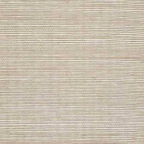Winfield Thybony SISAL SHELL Wallpaper