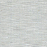 Winfield Thybony SISAL ROBINS EGG Wallpaper