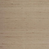 Winfield Thybony ETTORE SILK RIVER ROCK Wallpaper