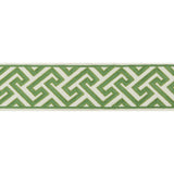 Brunschwig & Fils SANCHI TAPE KIWI Trim