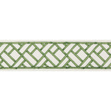 Brunschwig & Fils TORANA TAPE LEAF Trim